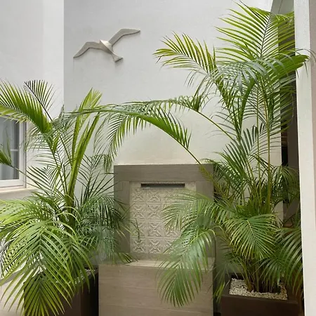Guest house El Caprichito *